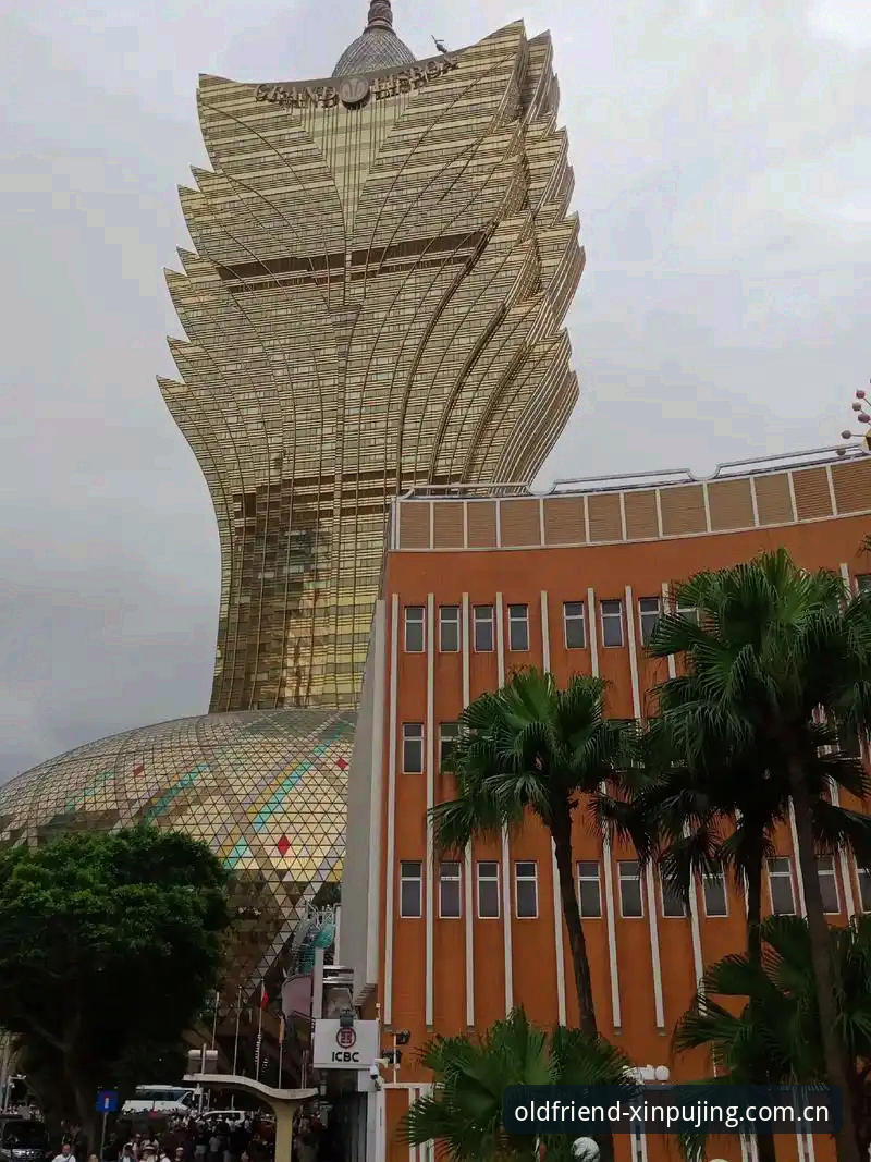 澳门新莆京官网APP下载手机版使用指南：避开那些别人踩过的坑